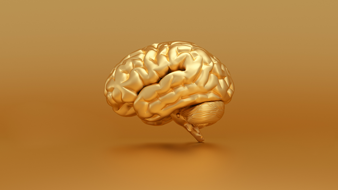 Understanding Traumatic Brain Injury, POTS, and Brain Function