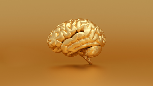 Understanding Traumatic Brain Injury, POTS, and Brain Function