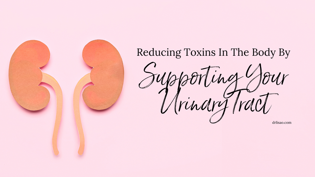 Reducing Toxins In The Body By Supporting Your Urinary Tract