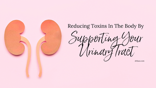 Reducing Toxins In The Body By Supporting Your Urinary Tract